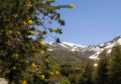 Sierra Nevada: enclave privilegiado